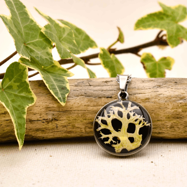 Mystic lichen pendant